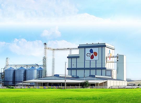 renewable-energy-6