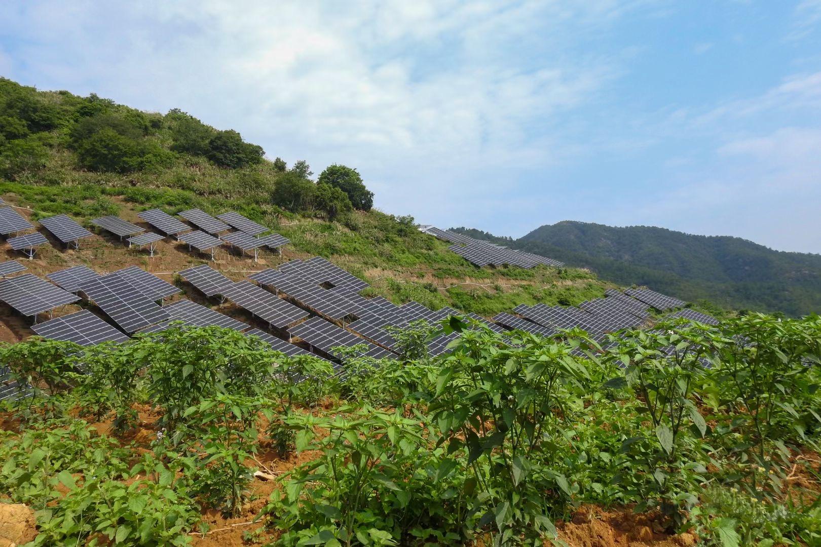 Dau-Agrivoltaic