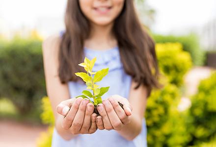 carbon-credits