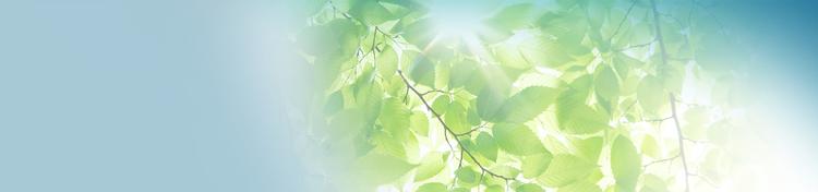 Climate Services | SP Group