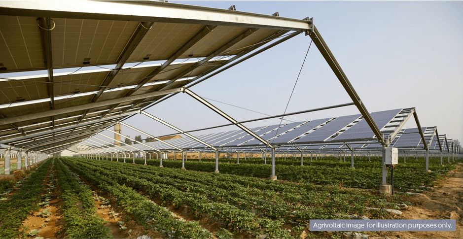 SP’s first batch of agrivoltaic assets in Guangdong Province, China