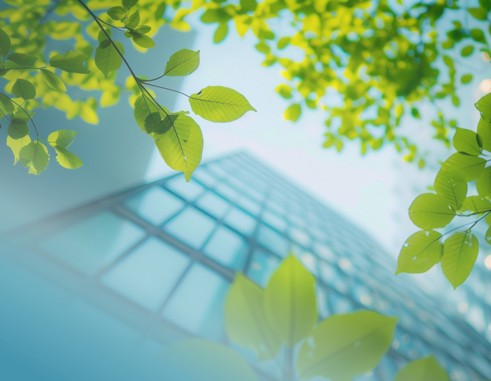 Masthead Mobile - Sustainability