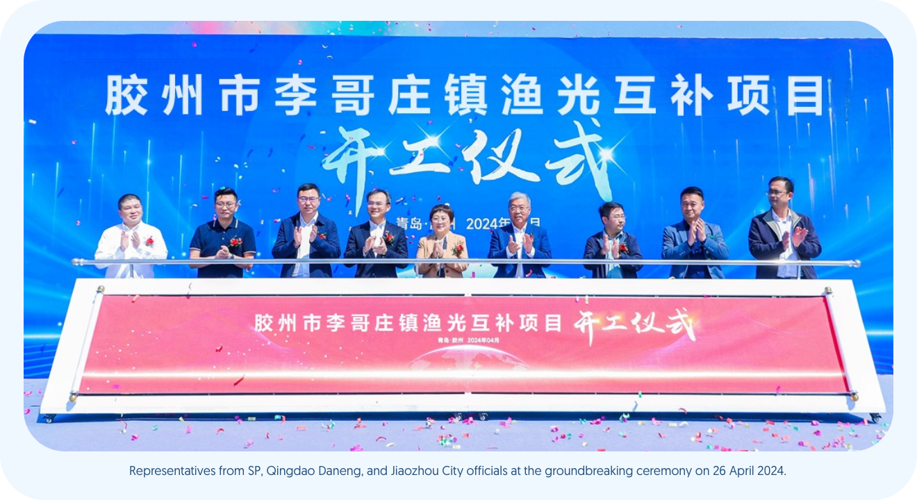 SP and Qingdao Daneng