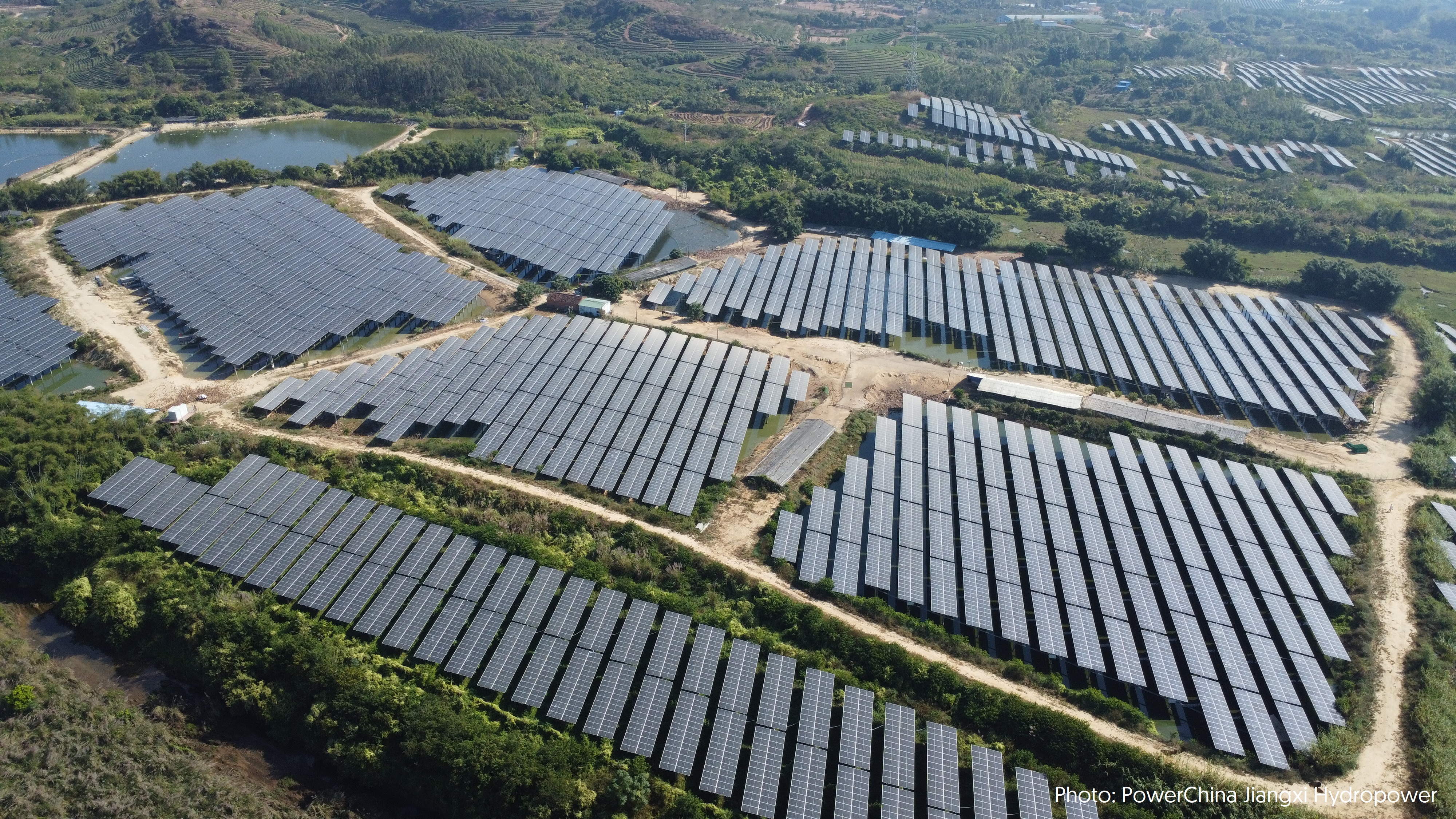 The 240 MWp agrivoltaic project in Huizhou