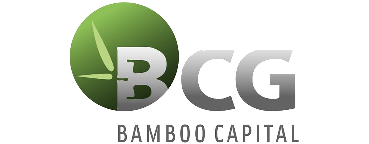 bcg-logo